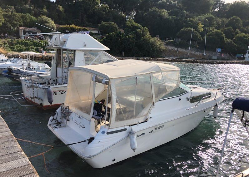 Searay_2