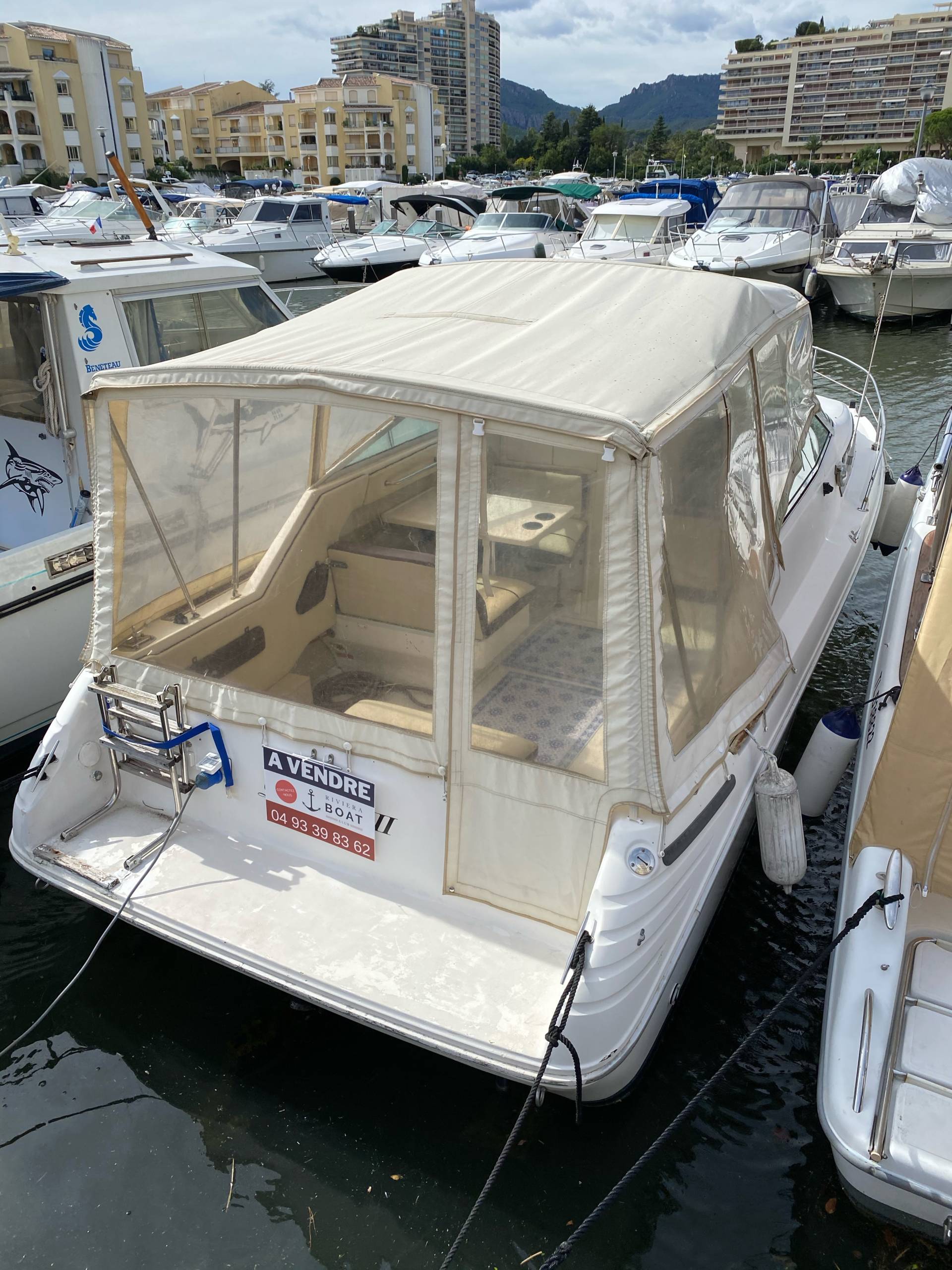 Searay_3