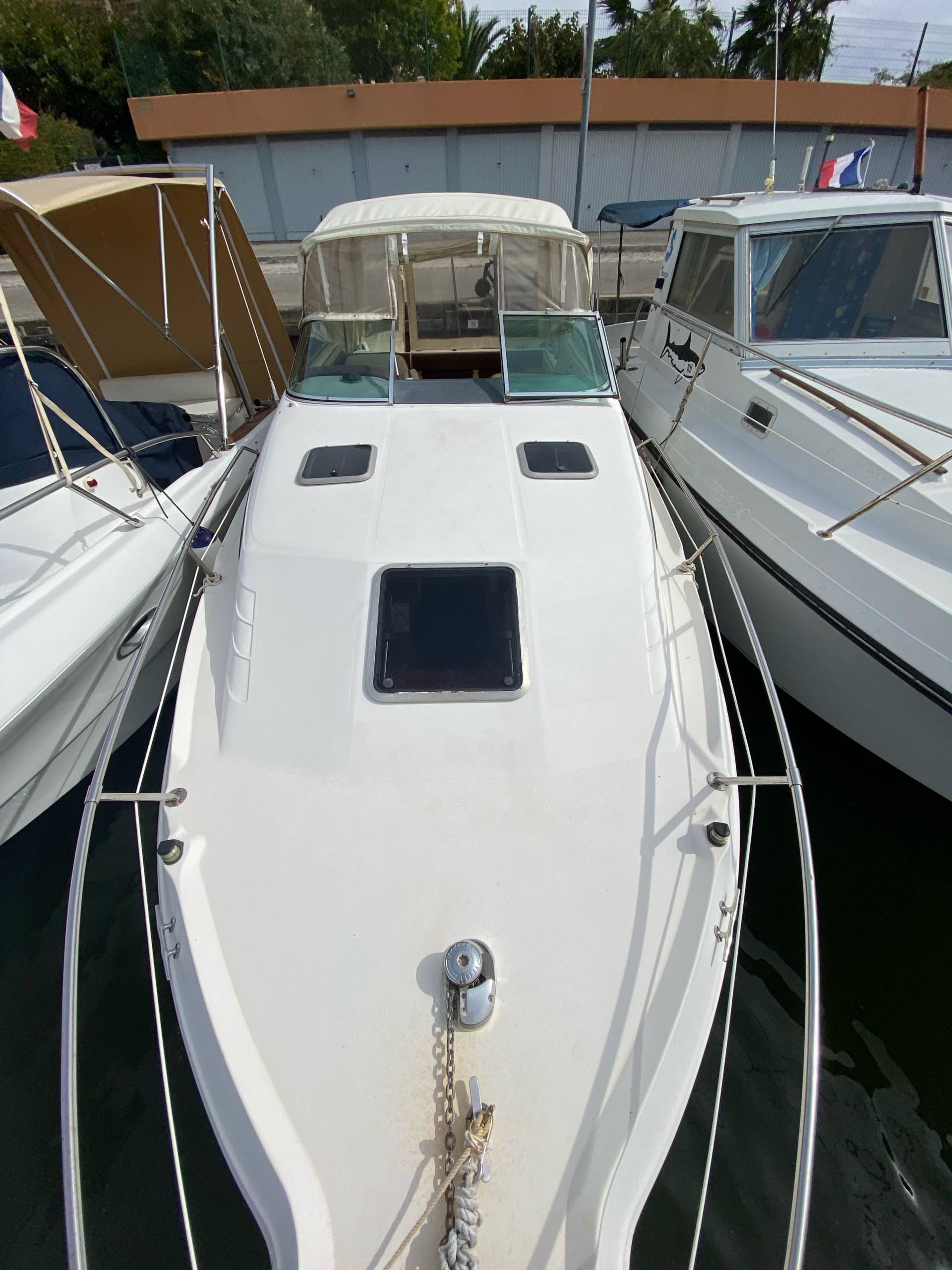 Searay_5