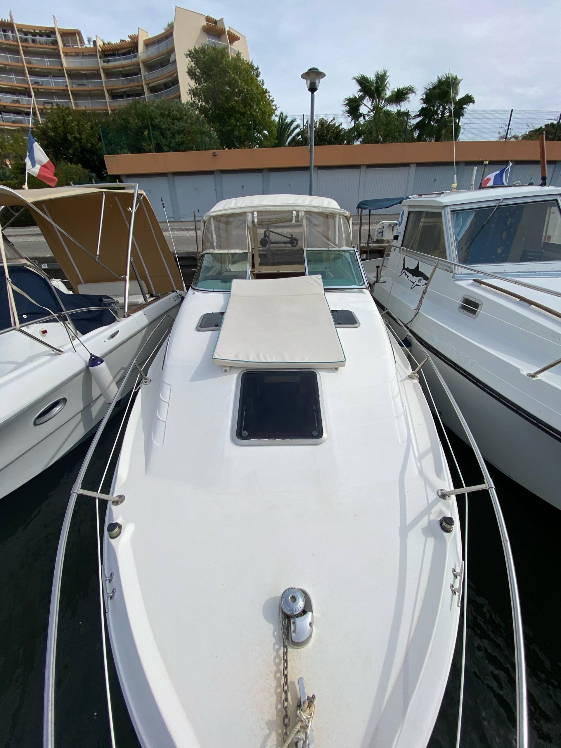 Searay_6